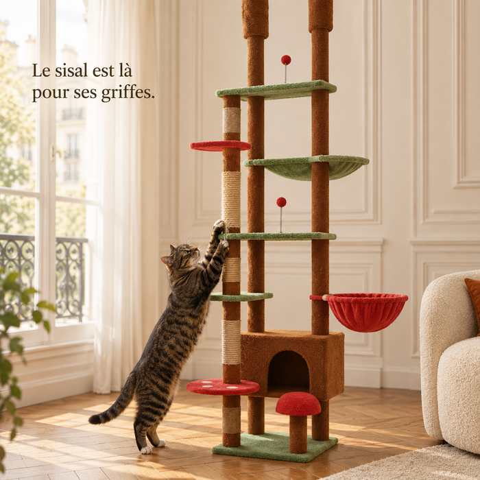 Chat qui griffe un poteau de sisal de l'arbre à chat sol-plafond brun
