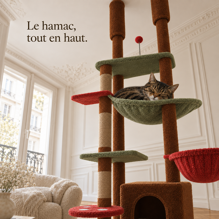 Chat endormi dans le hamac haut de l'arbre à chat sol-plafond brun