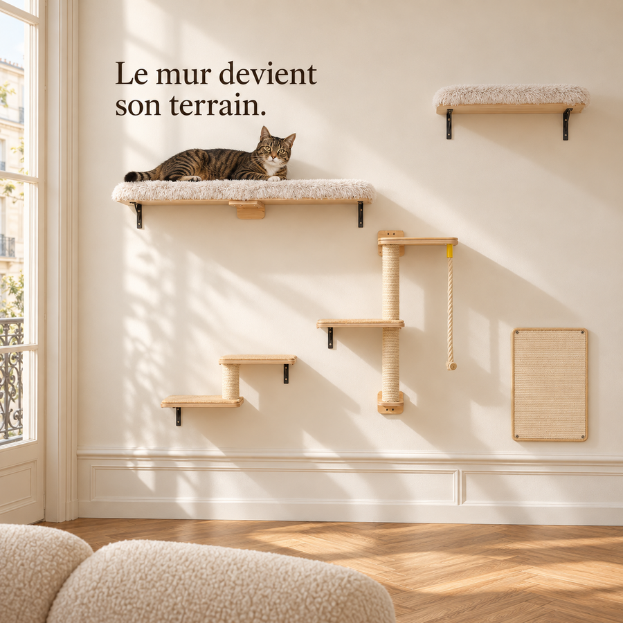 Ensemble mural en bois clair fixé au-dessus d'un canapé, un chat couché sur la grande plateforme