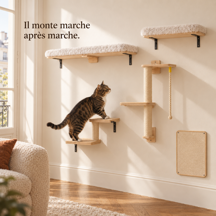 Chat en train de monter les deux marches de l'escalier mural en bois clair
