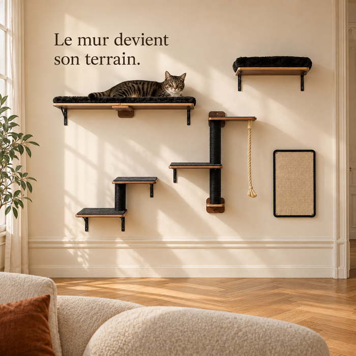 Ensemble mural noir fixé sur un grand mur clair, un chat couché sur la grande plateforme