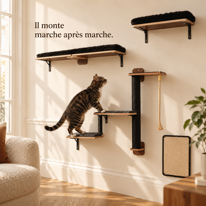 Chat en train de monter les deux marches de l'escalier mural noir