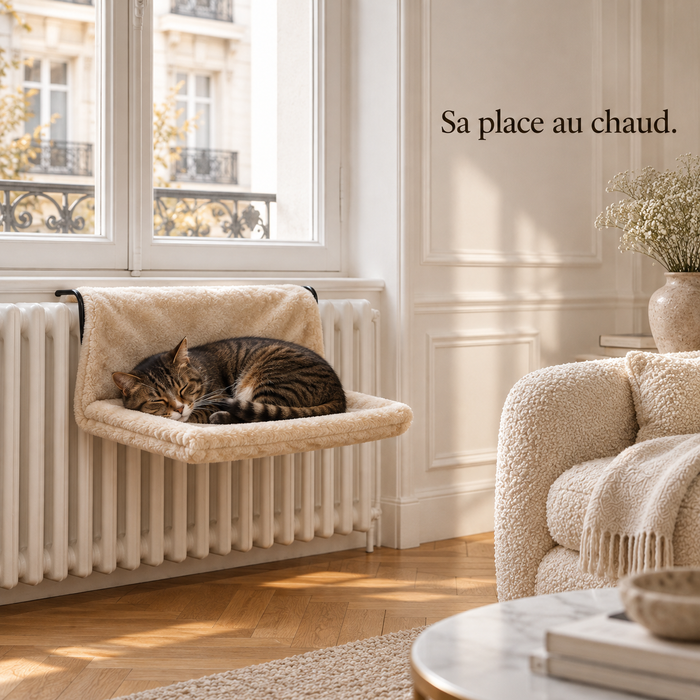 Chat endormi dans le hamac beige accroché au radiateur, sous la fenêtre du salon