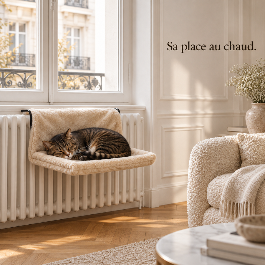 Chat endormi dans le hamac beige accroché au radiateur, sous la fenêtre du salon