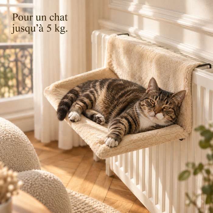 Chat allongé dans le hamac de radiateur beige, vu de dessus