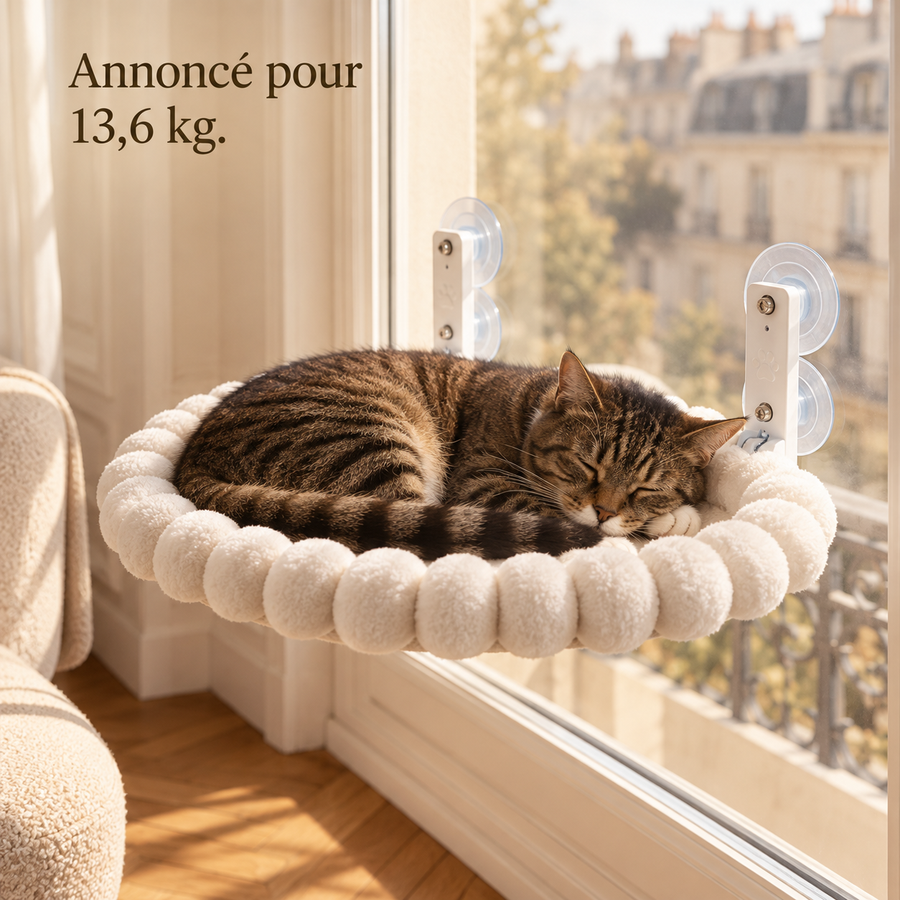 Chat endormi en boule dans le hamac de fenêtre, vu de côté