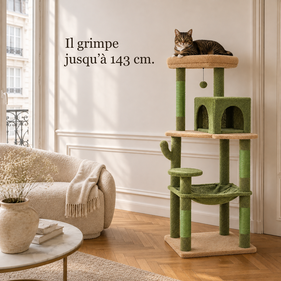 Arbre à chat cactus dans un salon, un chat couché sur le perchoir du haut