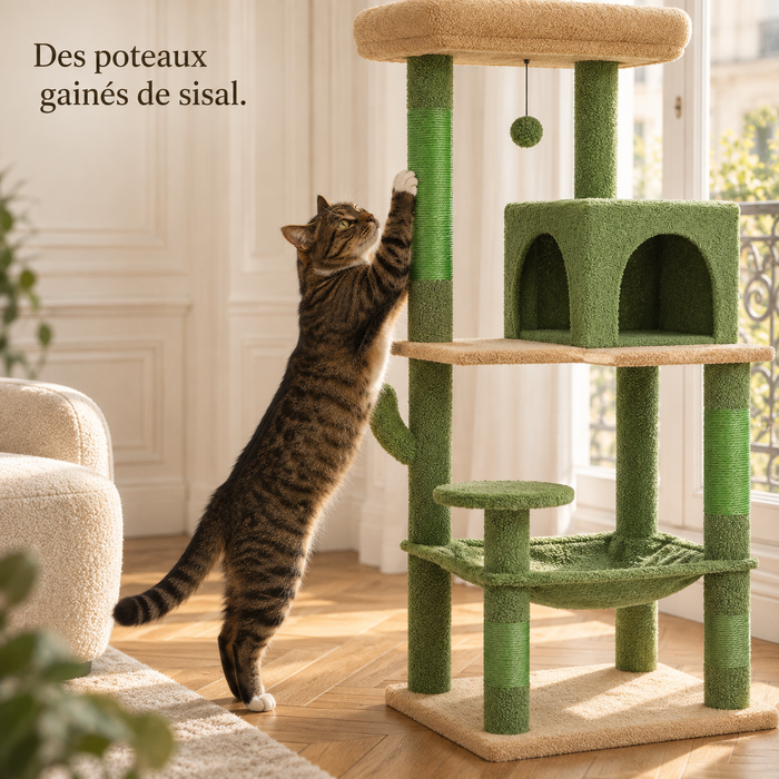 Chat dressé qui griffe une section de sisal sur un poteau vert de l'arbre à chat cactus