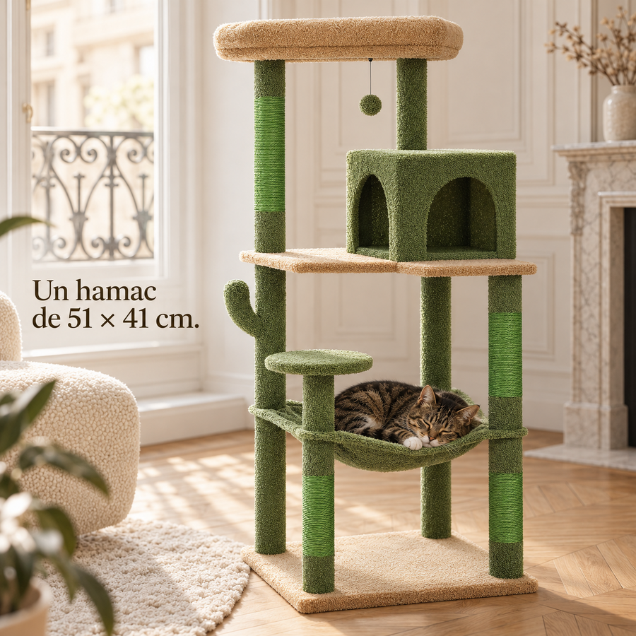 Chat endormi dans le hamac vert de l'arbre à chat cactus, vu d'en haut
