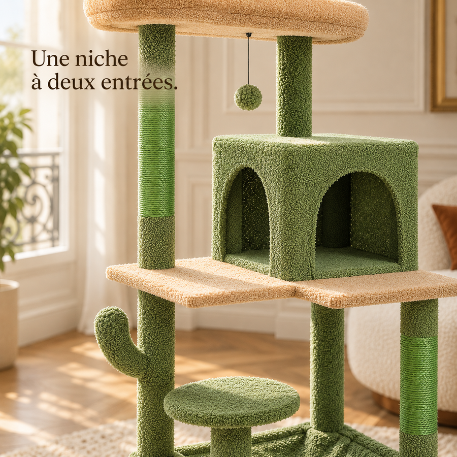Niche verte à deux ouvertures de l'arbre à chat cactus, vue de près